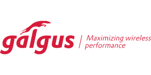 logo_galgus_maximizing_02